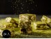 [埕憶菓子工坊] 家圓禮盒-過年年節伴手禮送禮首選
